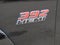 2022 Dodge Charger Scat Pack Widebody